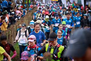 BIB: 8081
                            <button type="button" onclick="openModal(13431239)" class="btn btn-primary btn-sm float-right btn-popup" data-toggle="modal" data-target=".modal-high-quality">
                        <i class="fas fa-shopping-cart"></i> Add to Cart
                    </button>
                                            <button type="button" onclick="isThisMe(13431239, true)" class="btn btn-success btn-sm float-right btn-popup btn-isme hidden" data-toggle="tooltip" data-placement="bottom" title="นี่คือรูปของคุณใช่ไหม คลิกที่นี่เพื่อเอาเข้าอัลบั้ม">
                        <i class="fas fa-plus"></i> Add to album
                    </button>
                    <button type="button" onclick="isThisMe(13431239, false)" class="btn btn-warning btn-sm float-right btn-popup btn-isnotme hidden">
                        <i class="fas fa-ban"></i> Remove from album
                    </button>